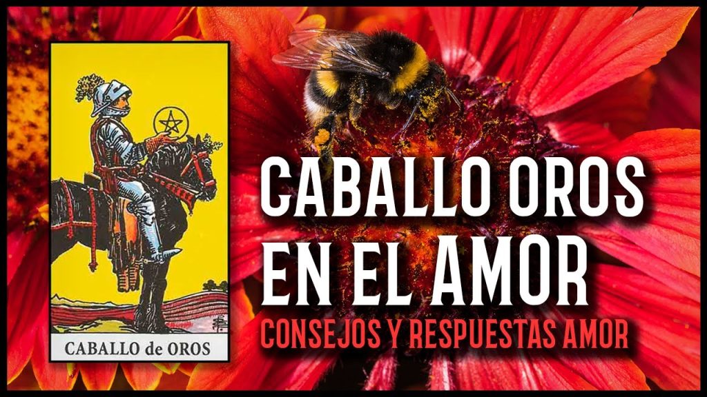 caballo de oros tarot amor